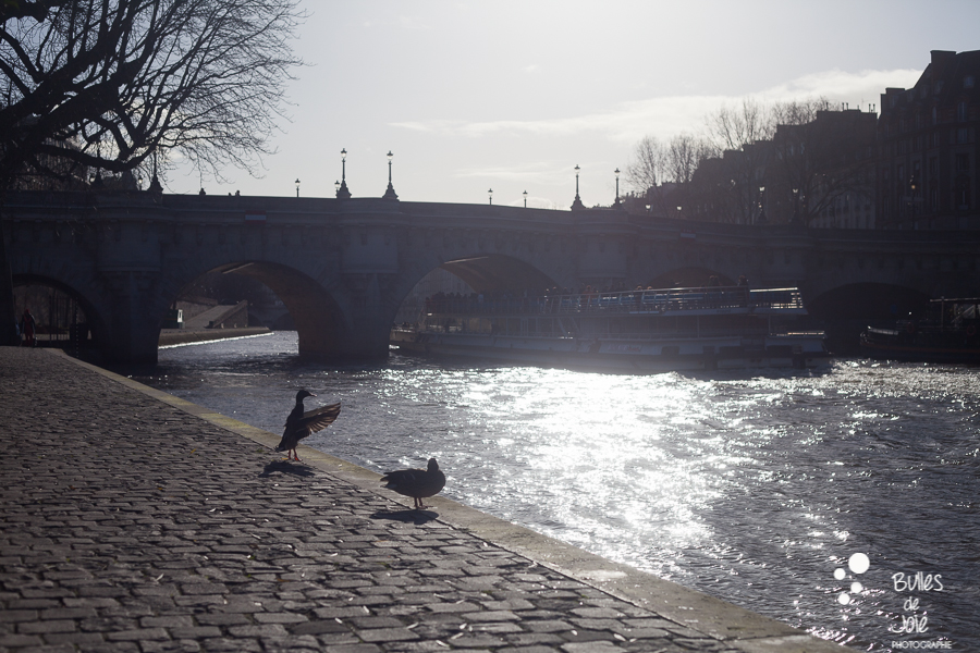 Séance photo sur les quais de la seine | Bulles de Joie Photographie, photographe Paris