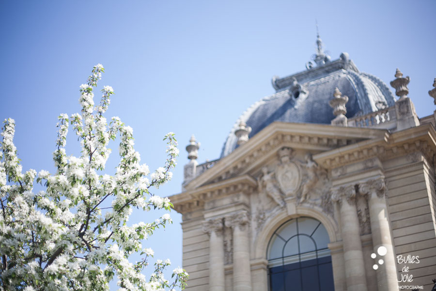 Cherry blossoms blooming in front of the Petit Palais in Paris, France.