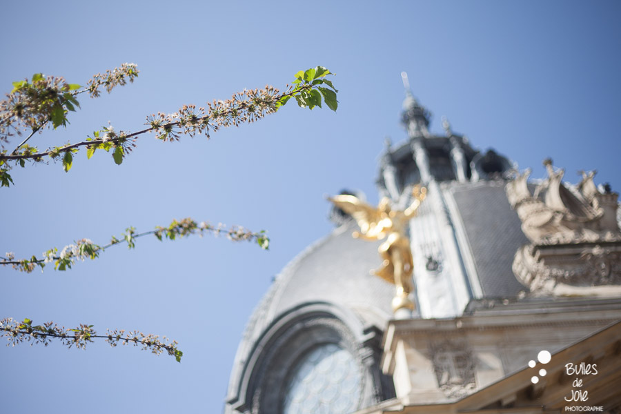 Blooming trees at the Petit Palais in Paris, France.